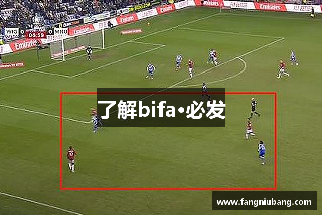 了解bifa·必发